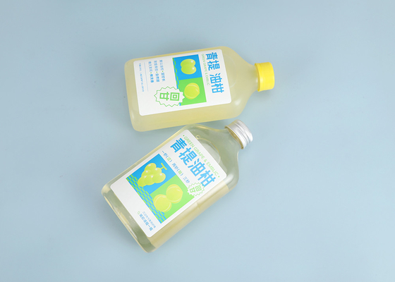 Botol Teh Susu 250ml 350ml 300ml 500ml Botol Jus Plastik dengan Tutup Sekrup